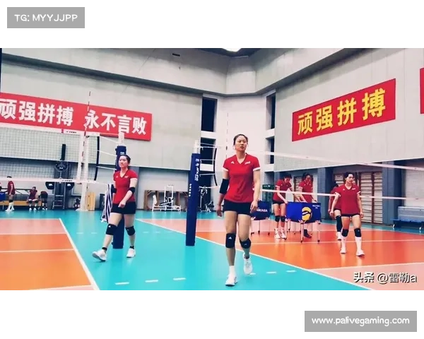 中国女排选帅报名结束 培训和执教经验成重要评判标准 中国女排选帅报名结束 培训和执教经验成重要评判标准