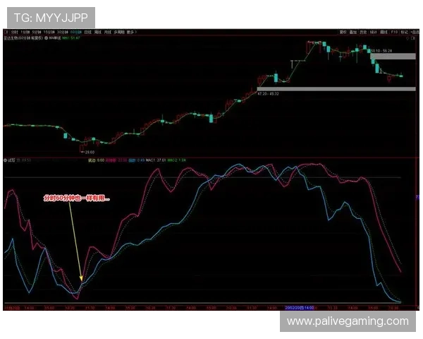 从概率视角解读世界杯胜负走向趋势与结果判断基于数据模型的理性分析 从概率视角解读世界杯胜负走向趋势与结果判断基于数据模型的理性分析